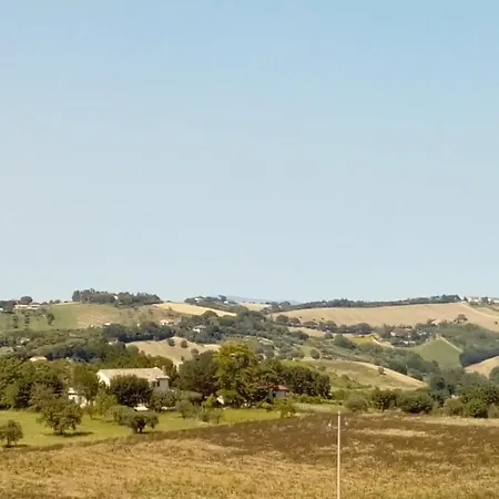 Rata